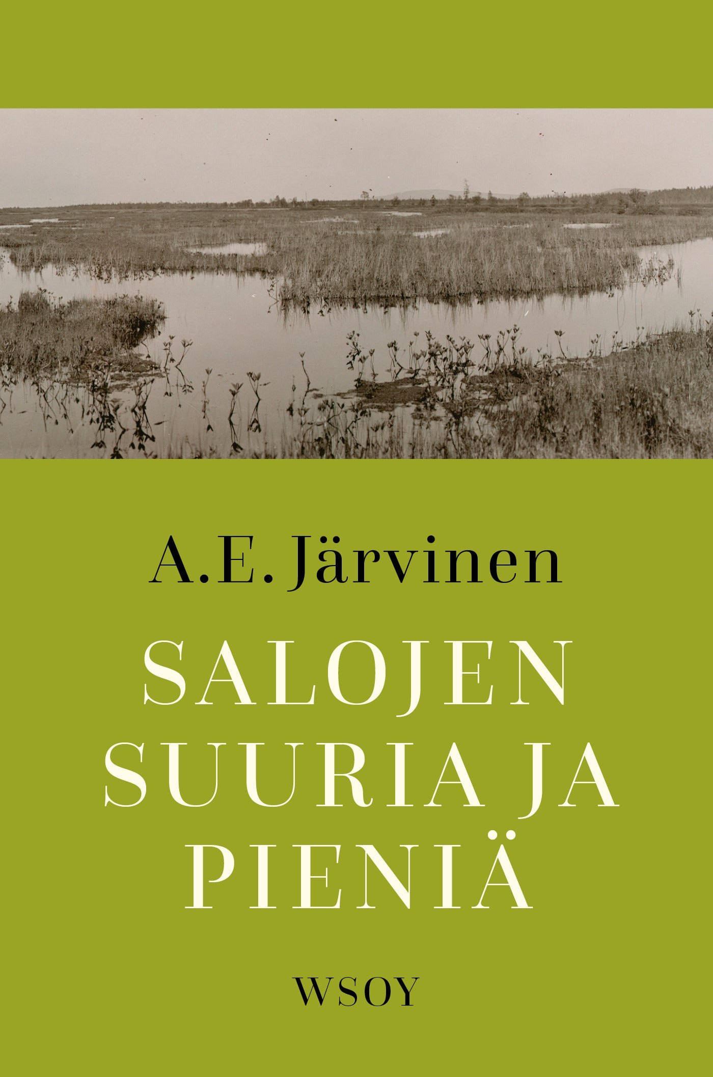 Salojen suuria ja pieniä – E-bok