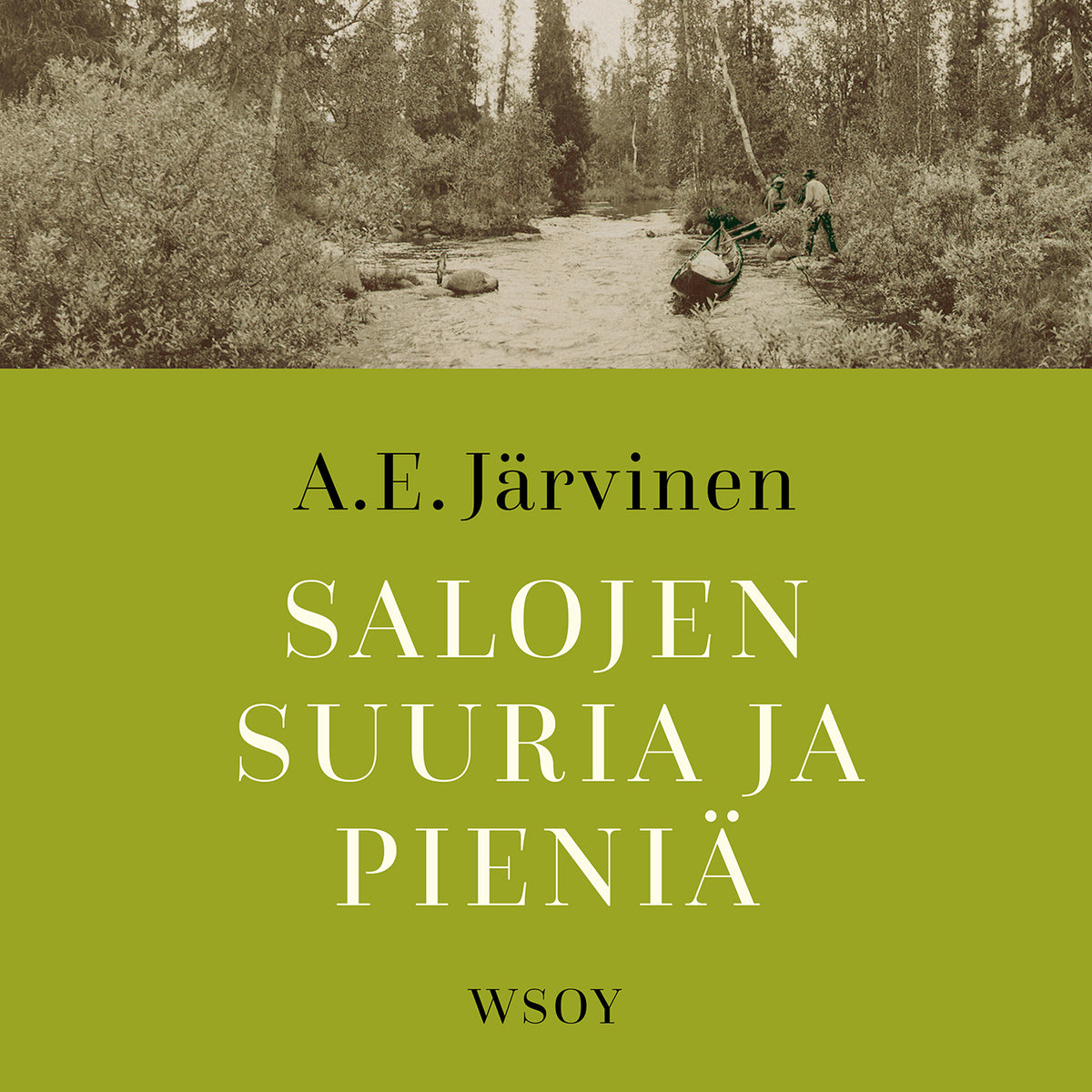 Salojen suuria ja pieniä – Ljudbok