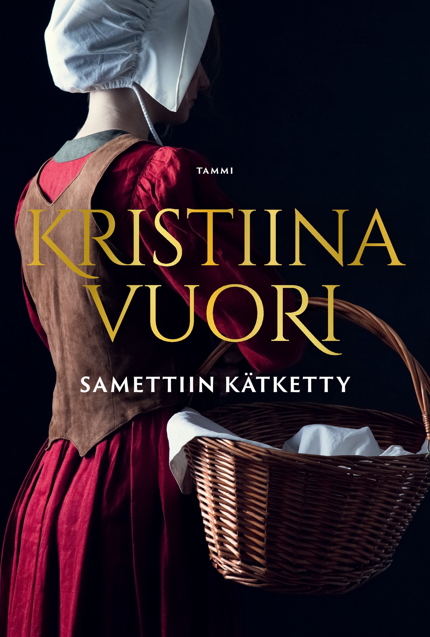 Samettiin kätketty – E-bok