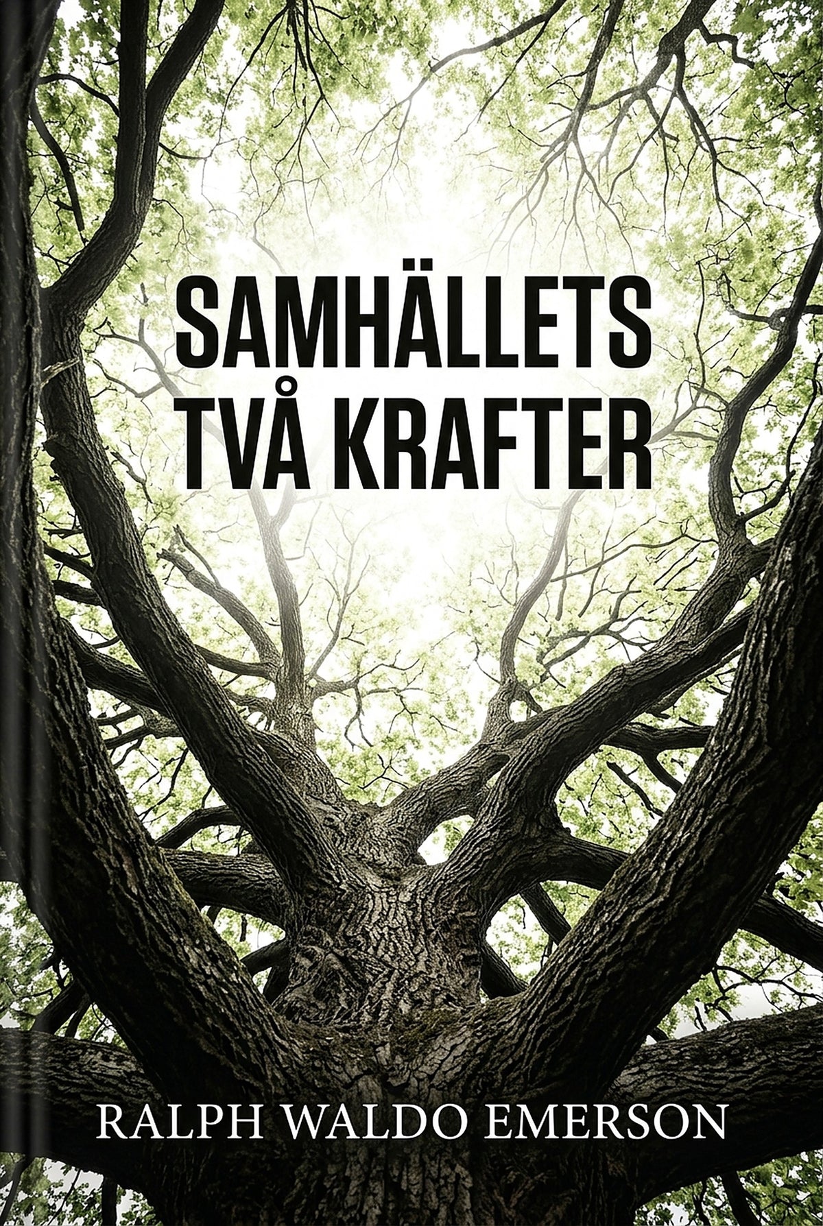 Samhällets två krafter – E-bok