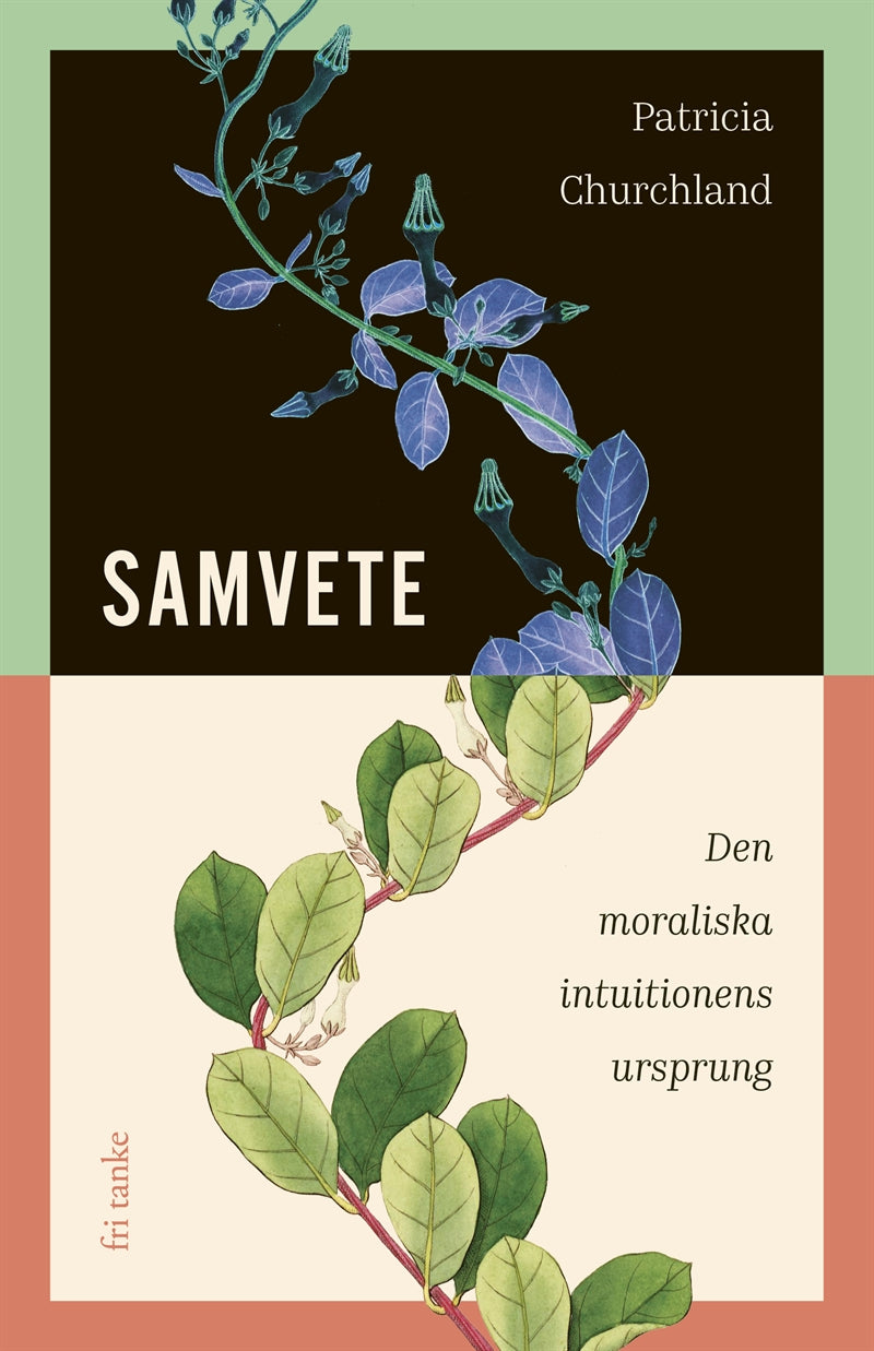 Samvete : Den moraliska intuitionens ursprung – E-bok