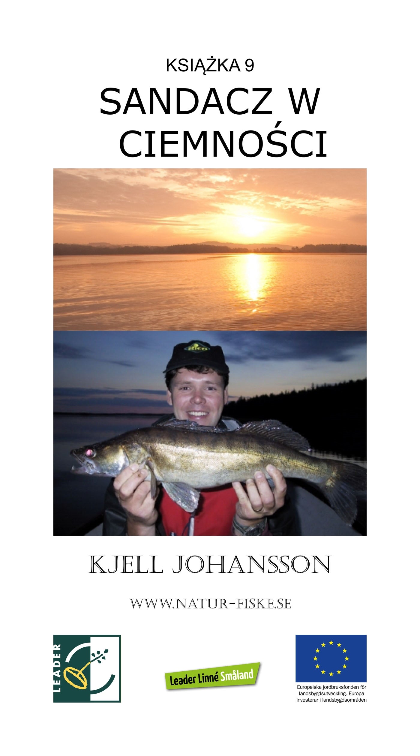 Sandacz w ciemnosci – E-bok