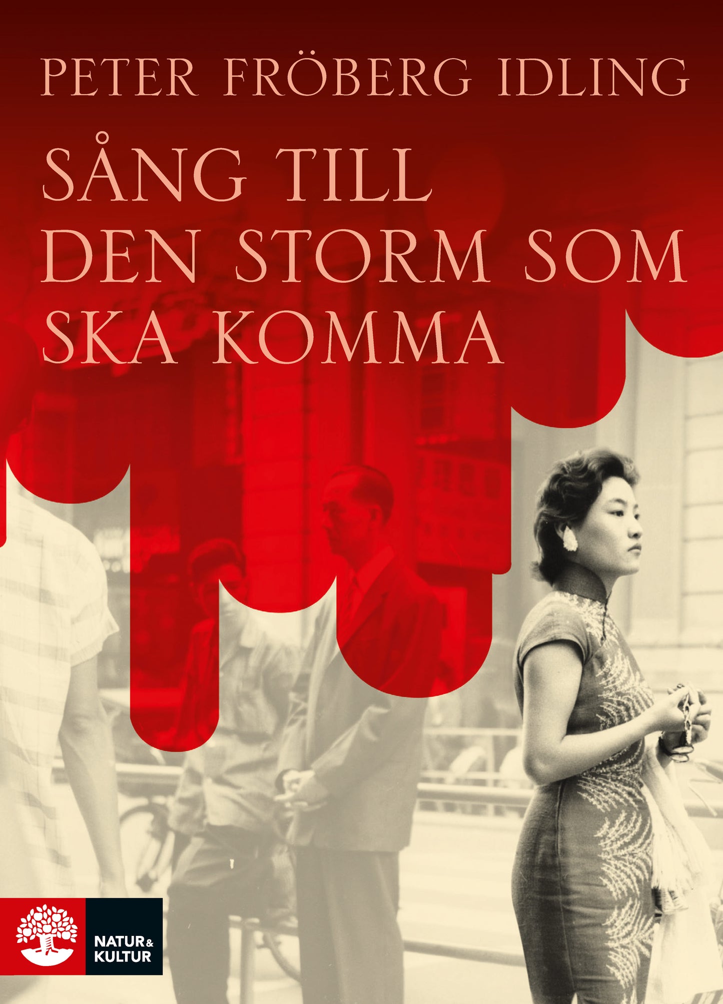 Sång till den storm som ska komma – E-bok