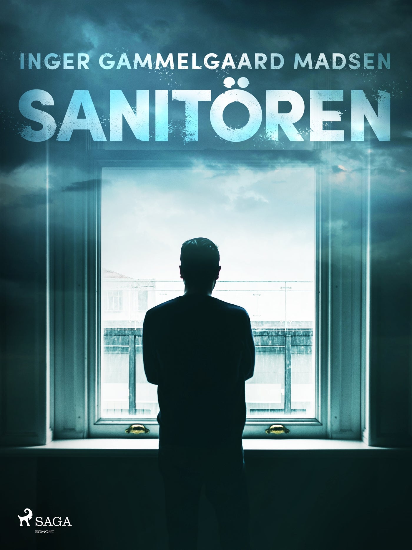 Sanitören – E-bok