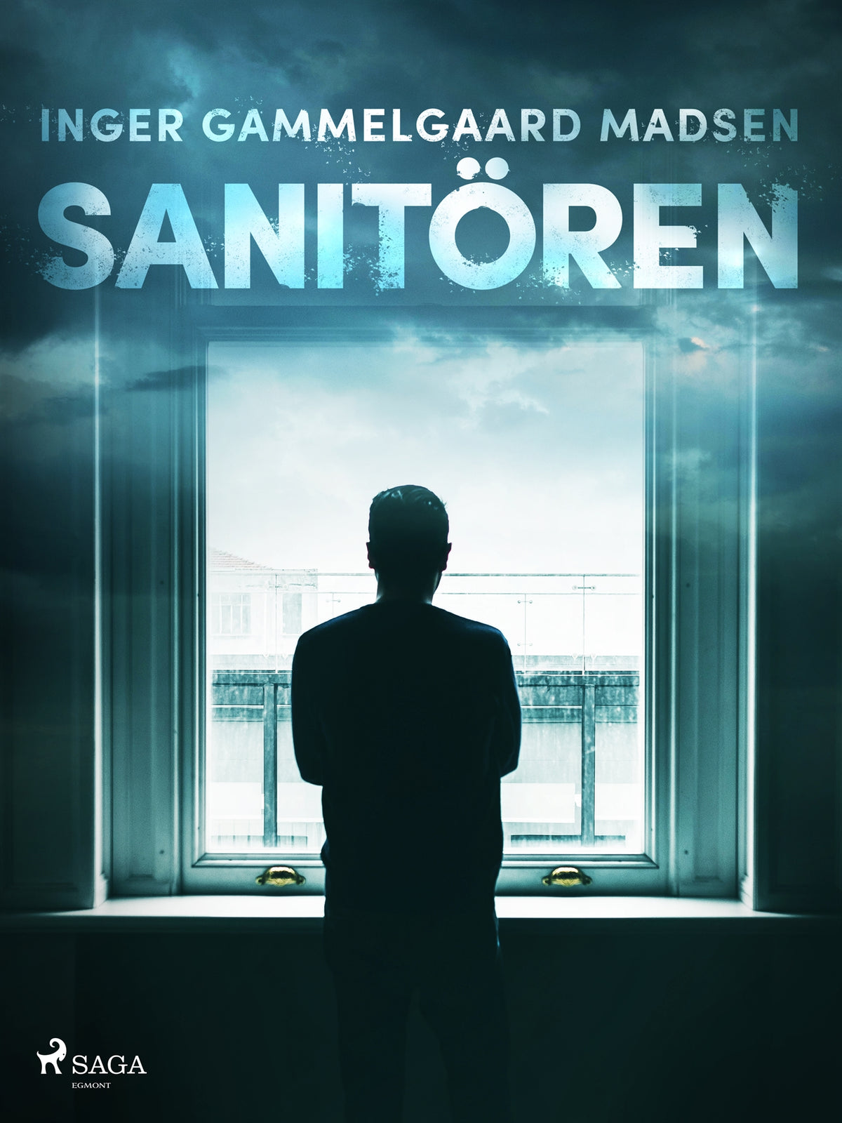 Sanitören – E-bok