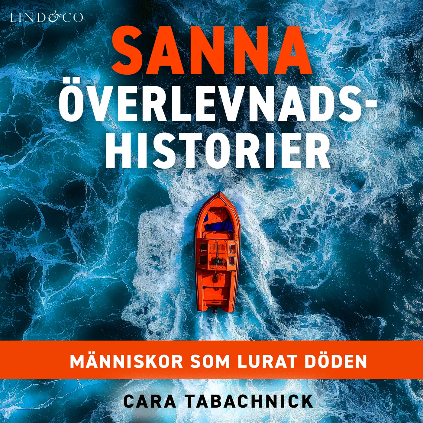 Sanna överlevnadshistorier : människor som lurat döden – Ljudbok