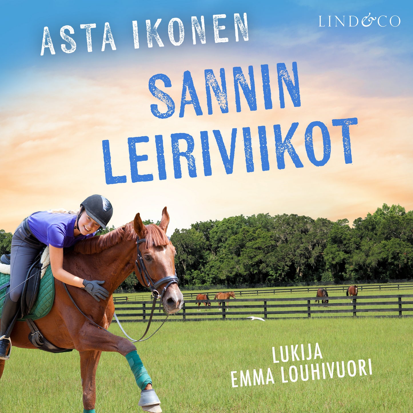 Sannin leiriviikot – Ljudbok