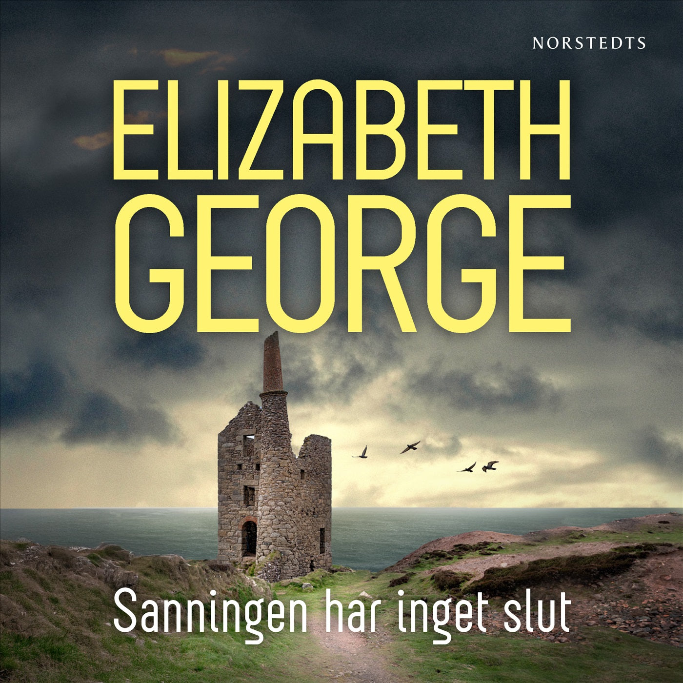 Sanningen har inget slut – Ljudbok