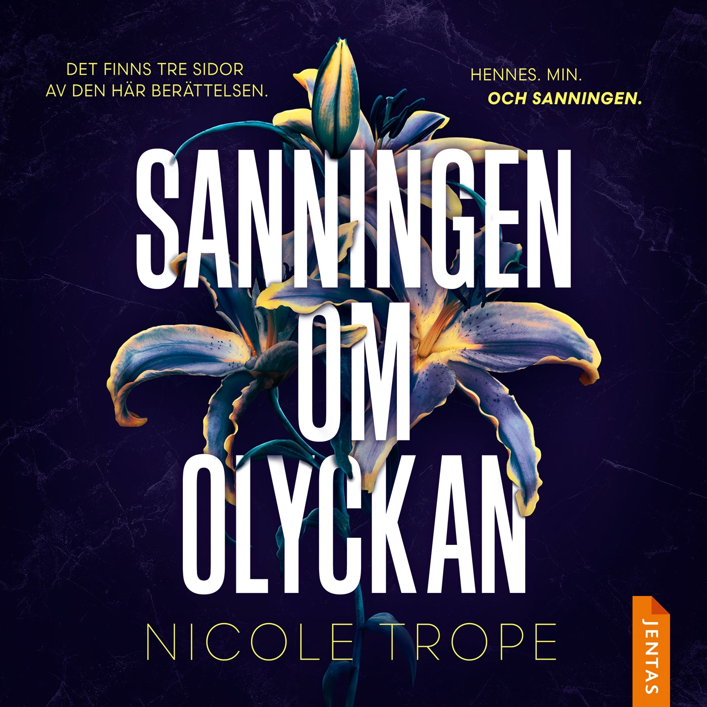 Sanningen om olyckan – Ljudbok