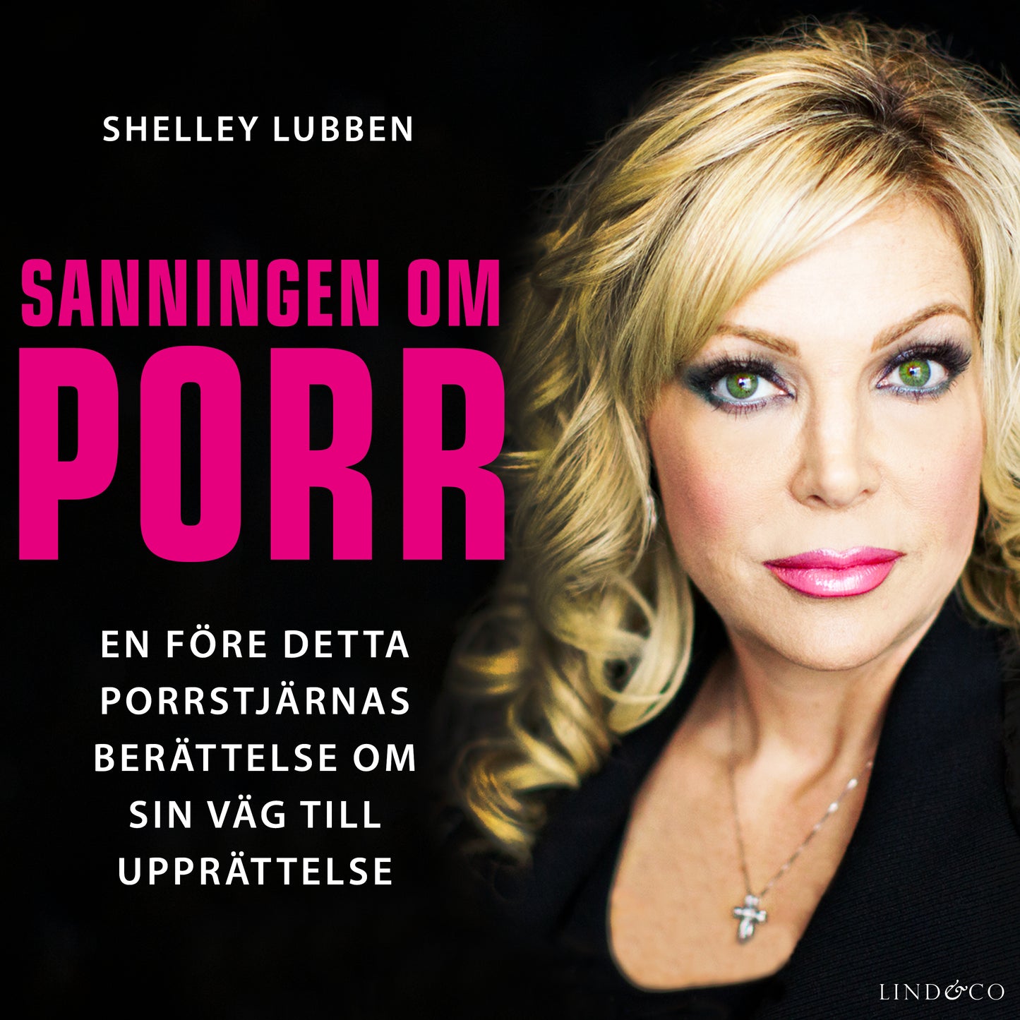 Sanningen om porr: En f.d. porrstjärnas berättelse om sin väg till upprättelse – Ljudbok