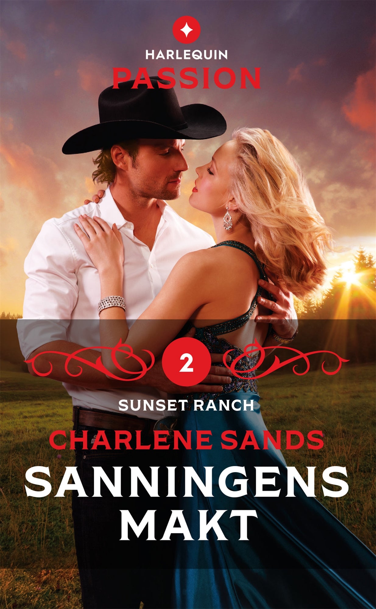 Sanningens makt – E-bok