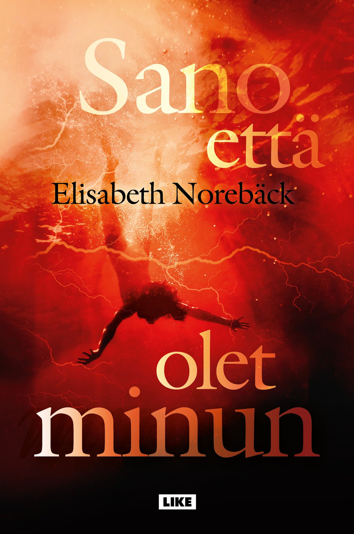 Sano että olet minun – E-bok