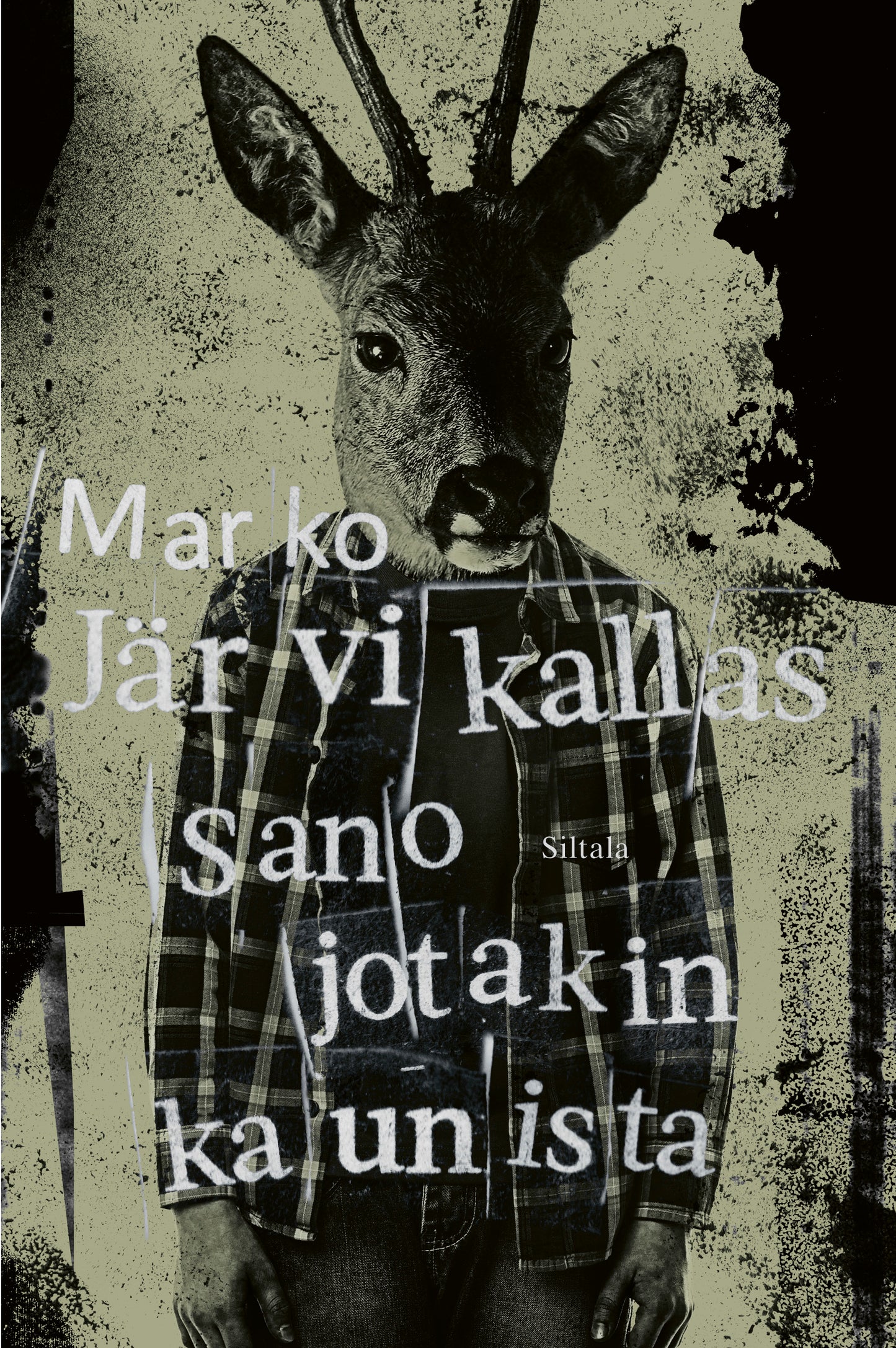Sano jotakin kaunista – E-bok