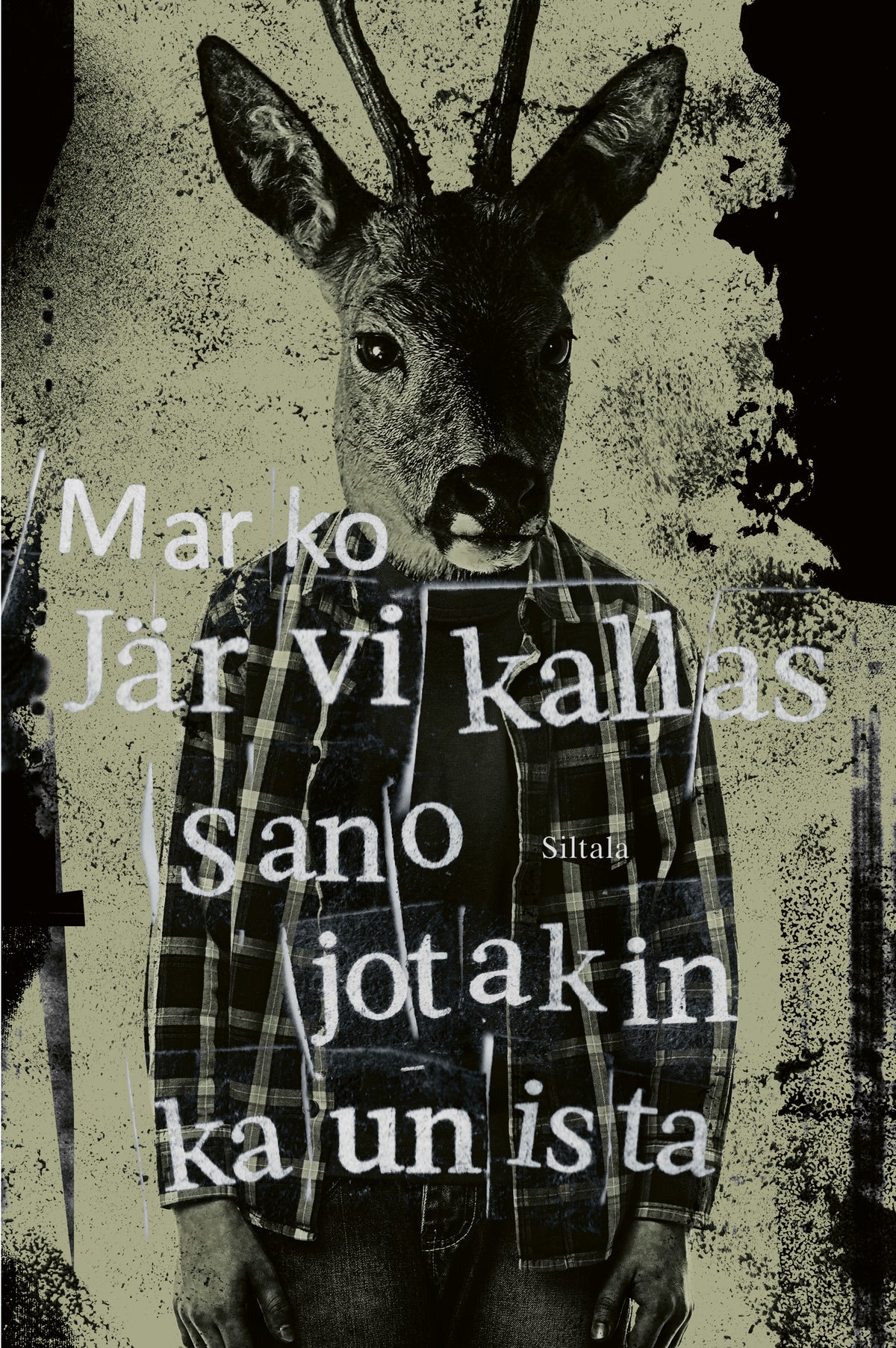 Sano jotakin kaunista – E-bok