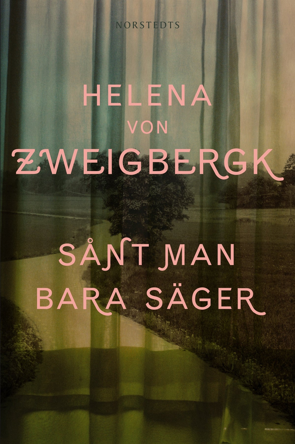 Sånt man bara säger – E-bok