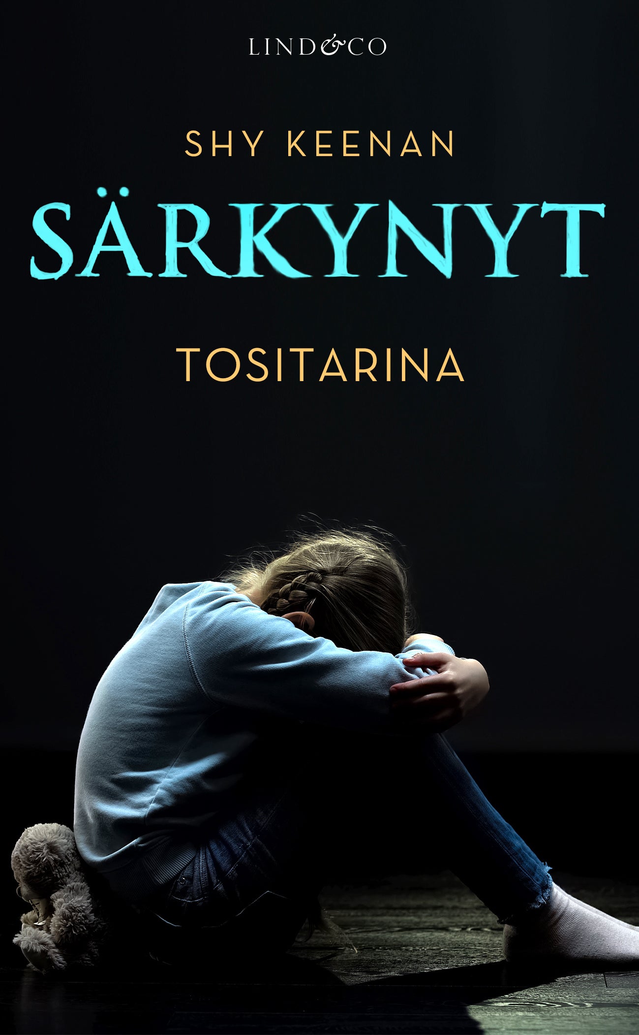 Särkynyt – E-bok