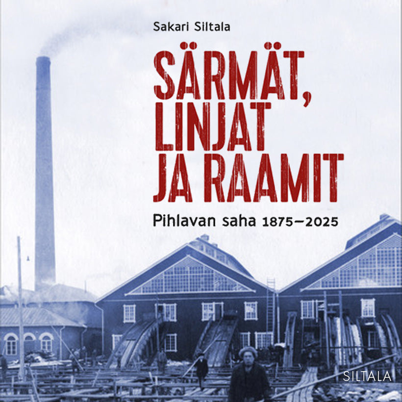 Särmät, linjat ja raamit – Ljudbok