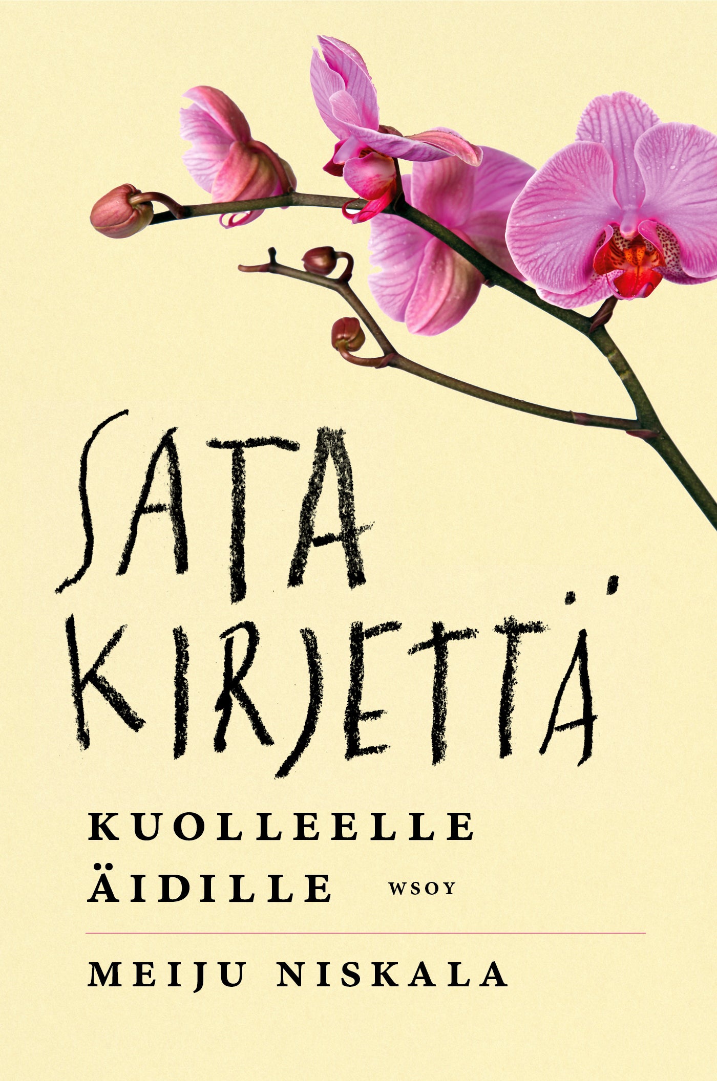 Sata kirjettä kuolleelle äidille – E-bok