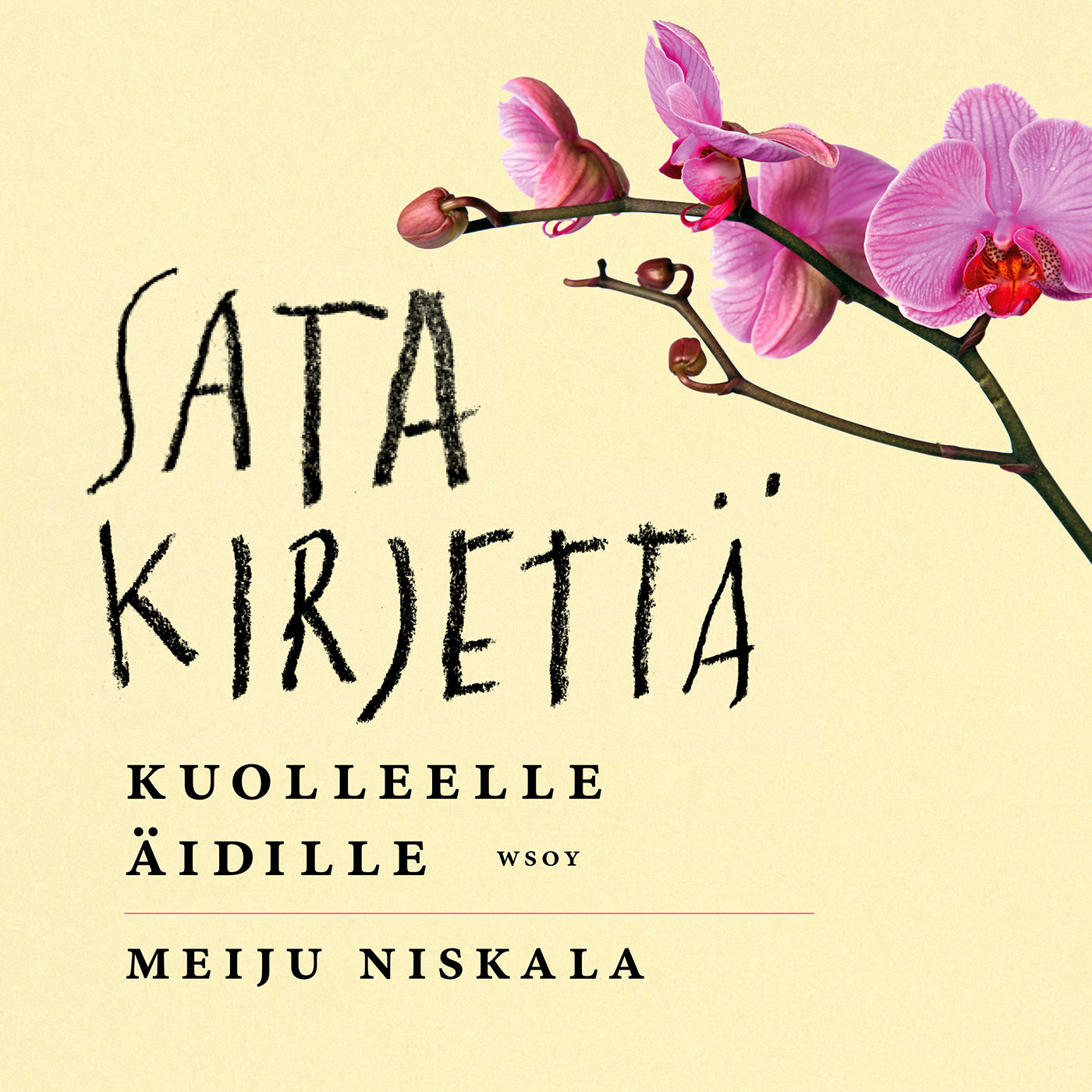 Sata kirjettä kuolleelle äidille – Ljudbok