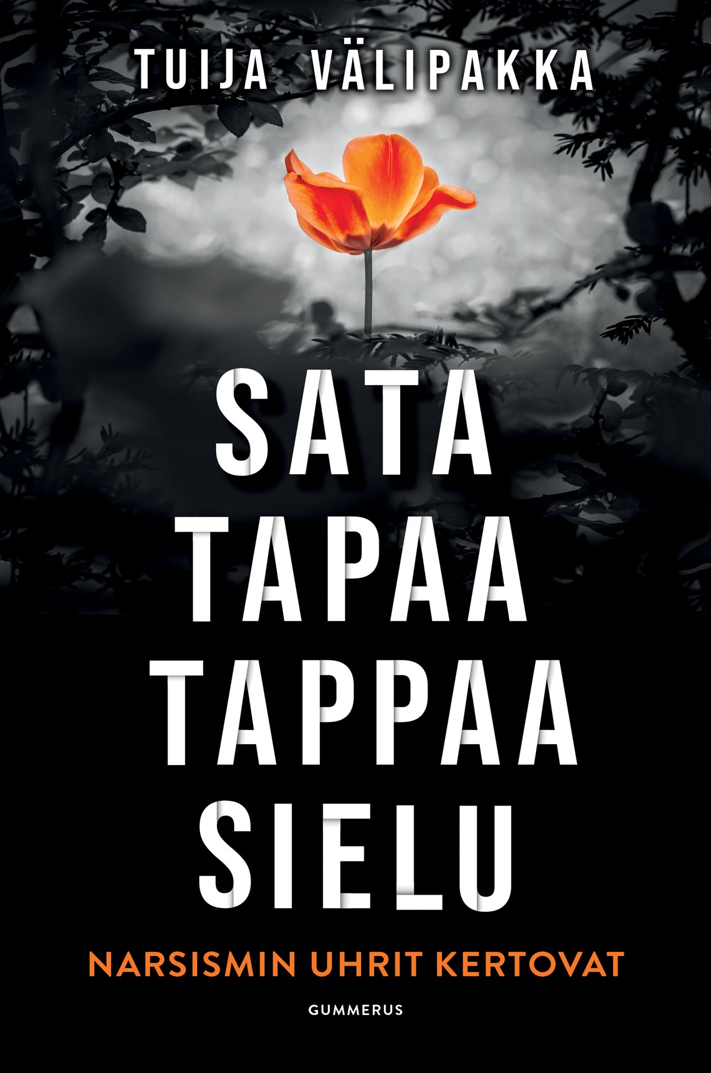 Sata tapaa tappaa sielu – E-bok