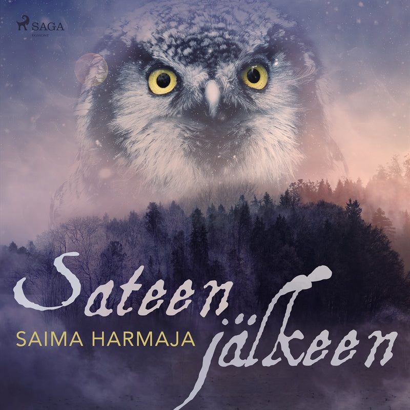 Sateen jälkeen – Ljudbok
