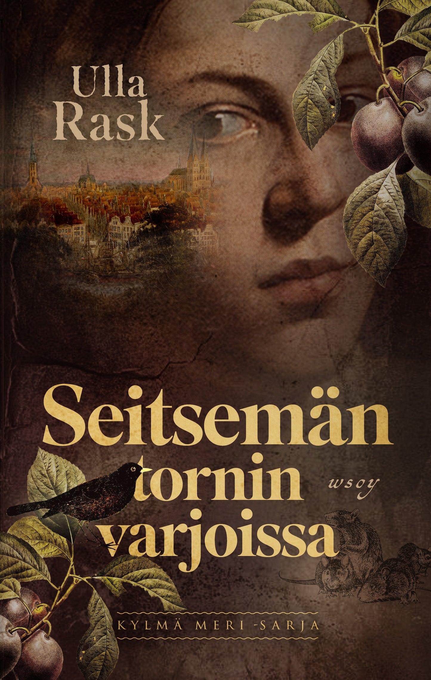 Seitsemän tornin varjoissa – E-bok
