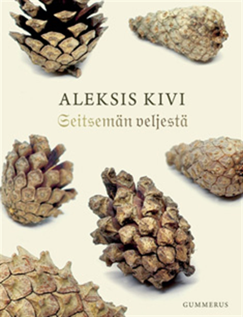 Seitsemän veljestä – E-bok