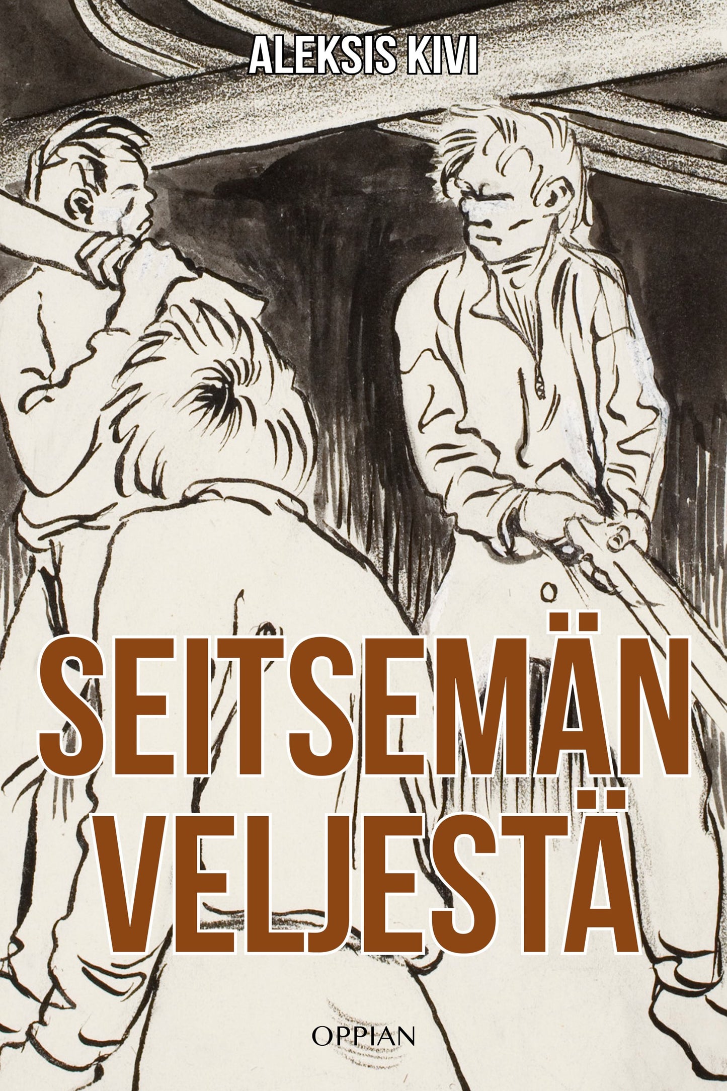 Seitsemän veljestä – E-bok