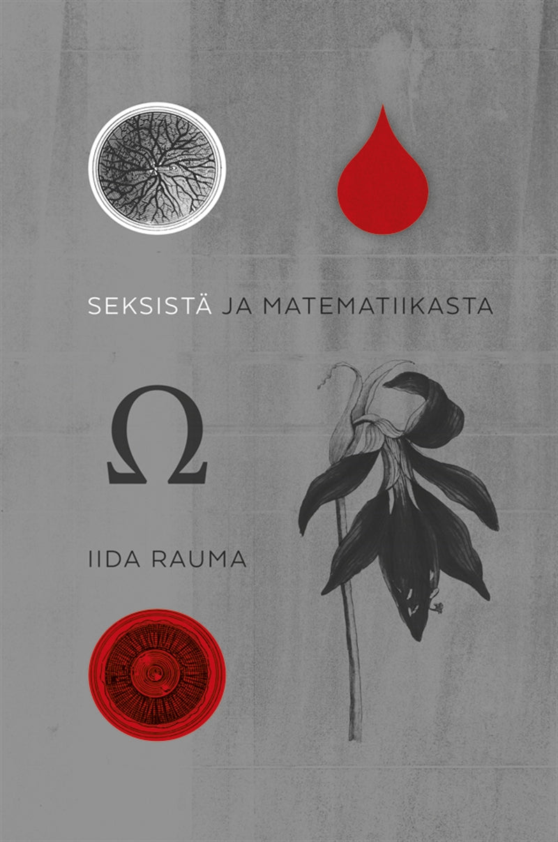 Seksistä ja matematiikasta – E-bok