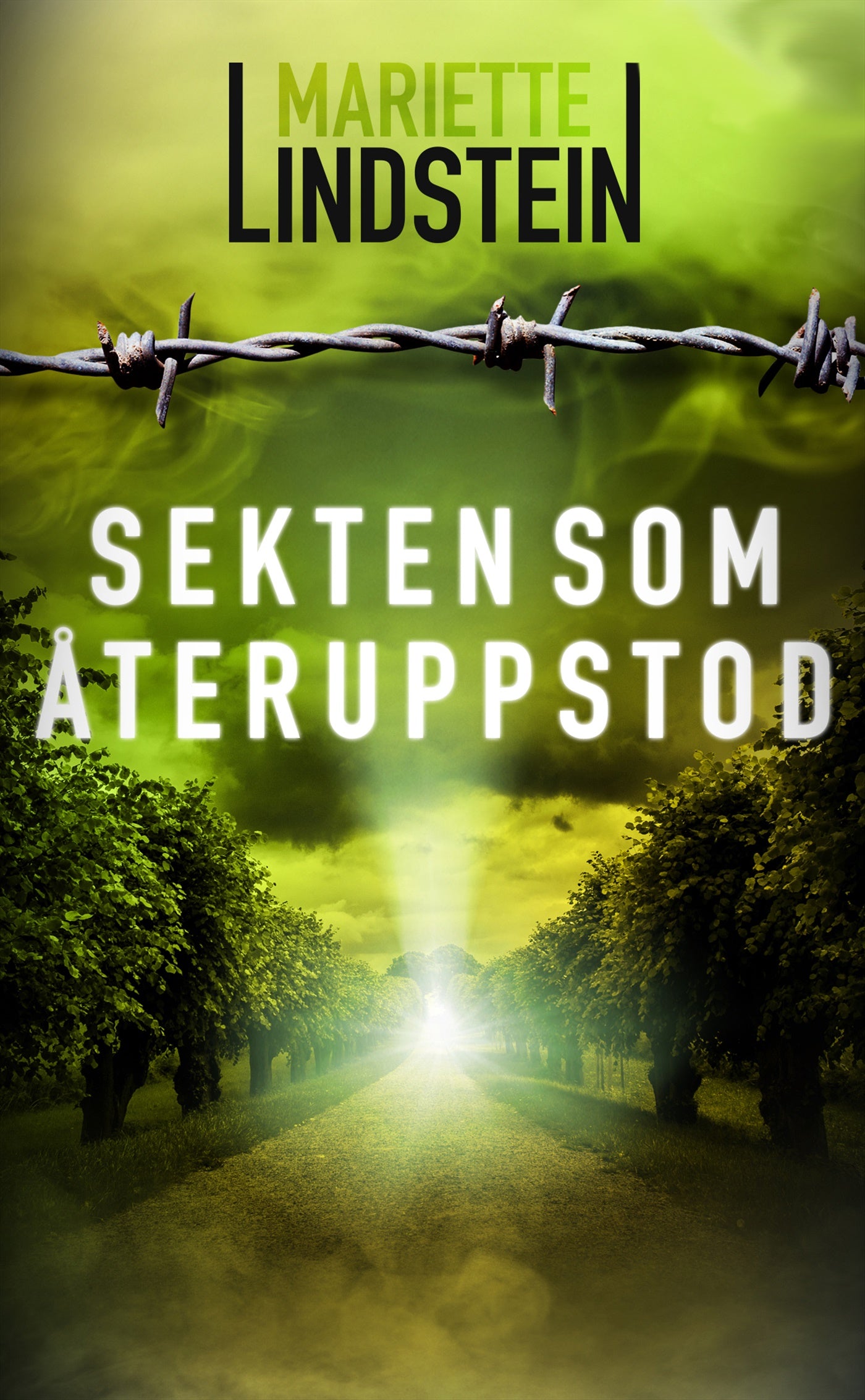 Sekten som återuppstod – E-bok
