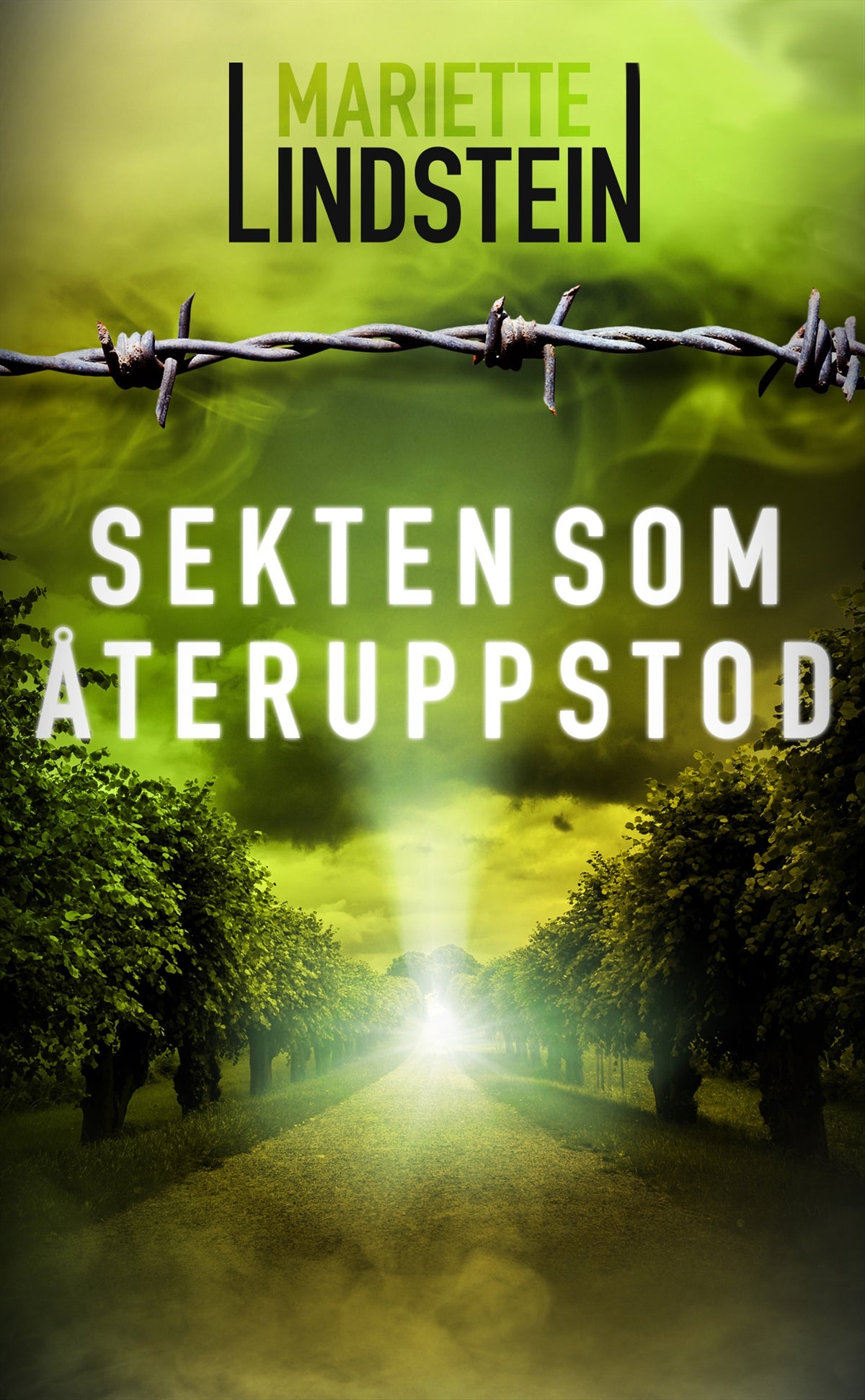 Sekten som återuppstod – E-bok