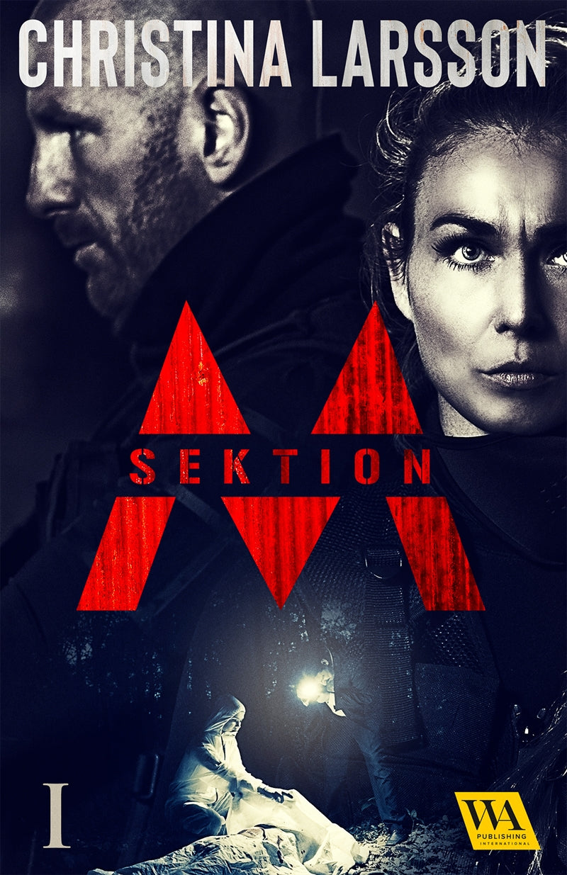 Sektion M I – E-bok
