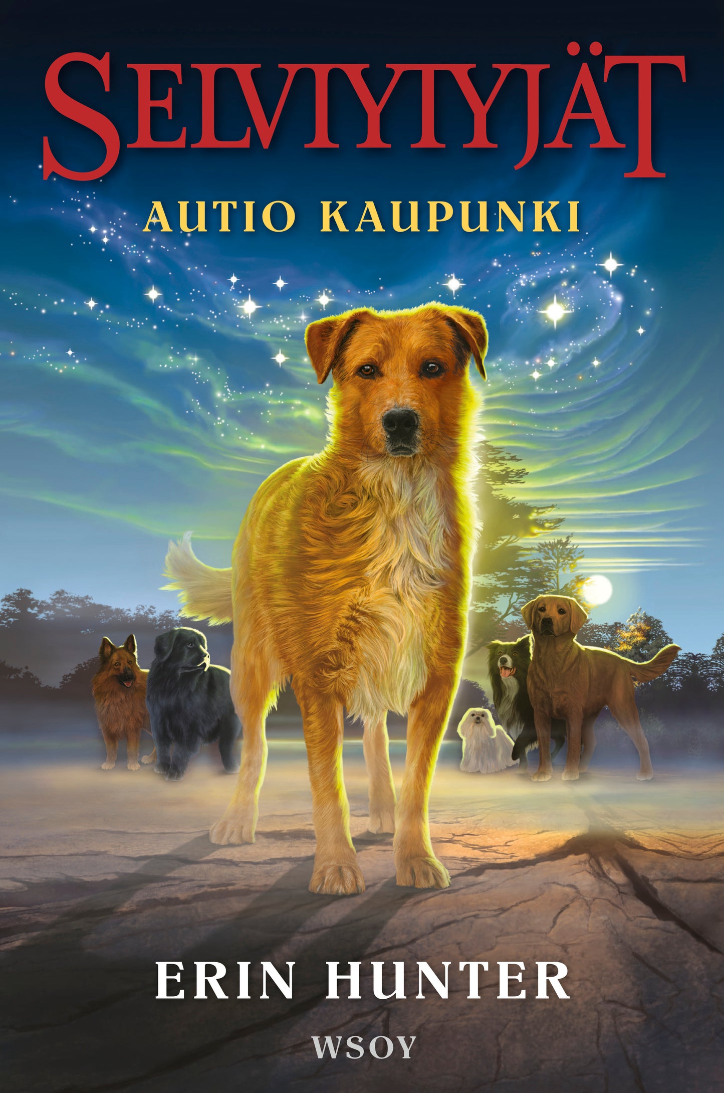 Selviytyjät: Autio kaupunki – E-bok