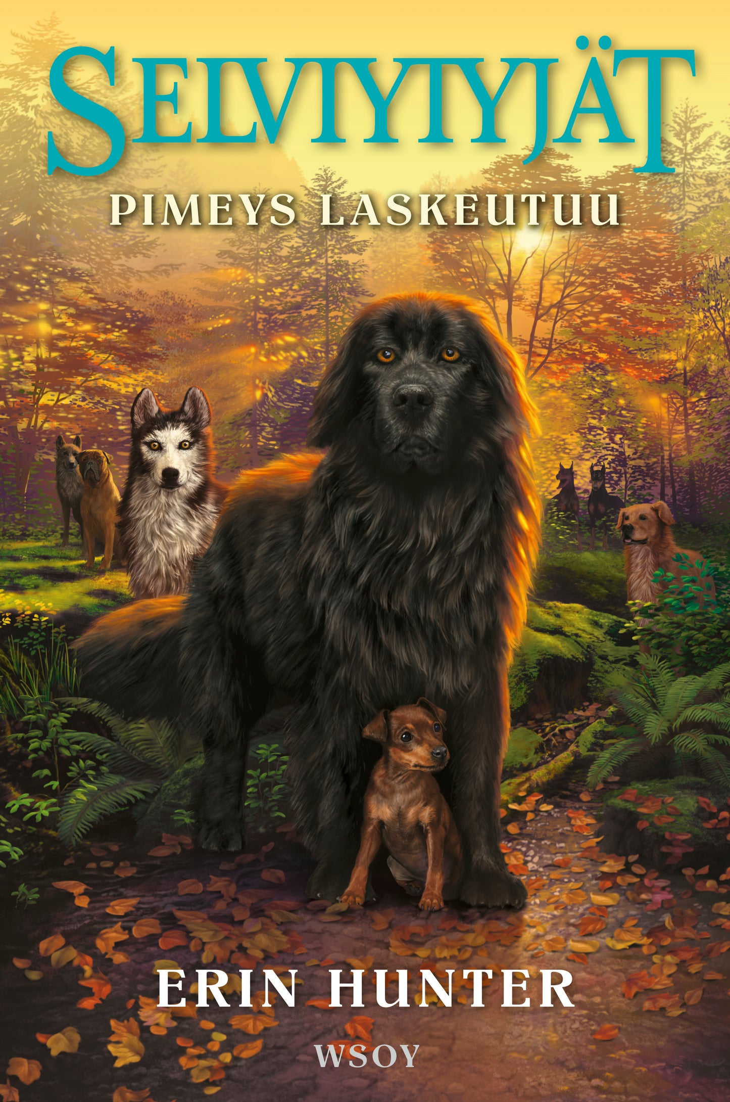 Selviytyjät: Pimeys laskeutuu – E-bok