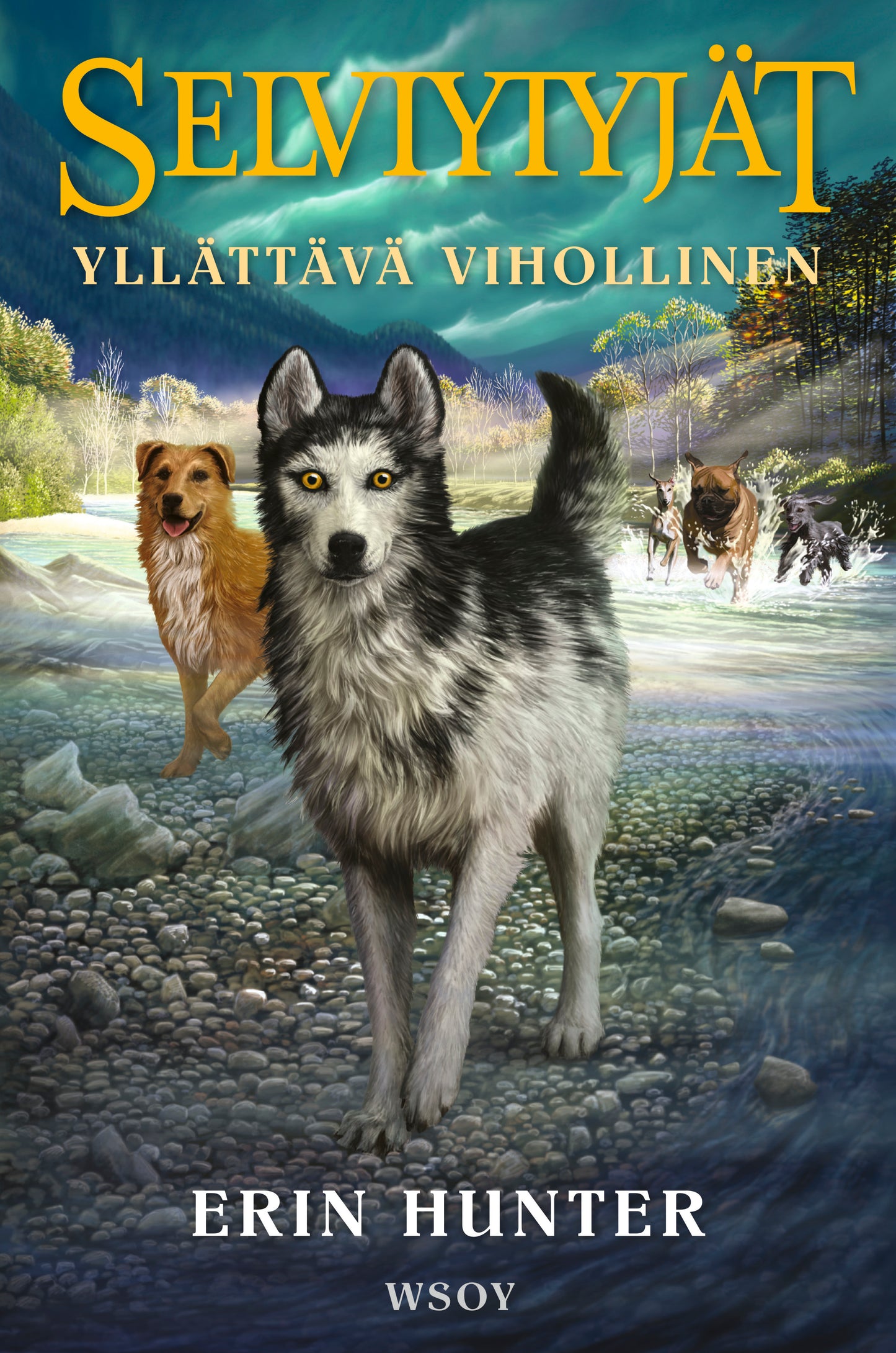 Selviytyjät: Yllättävä vihollinen – E-bok