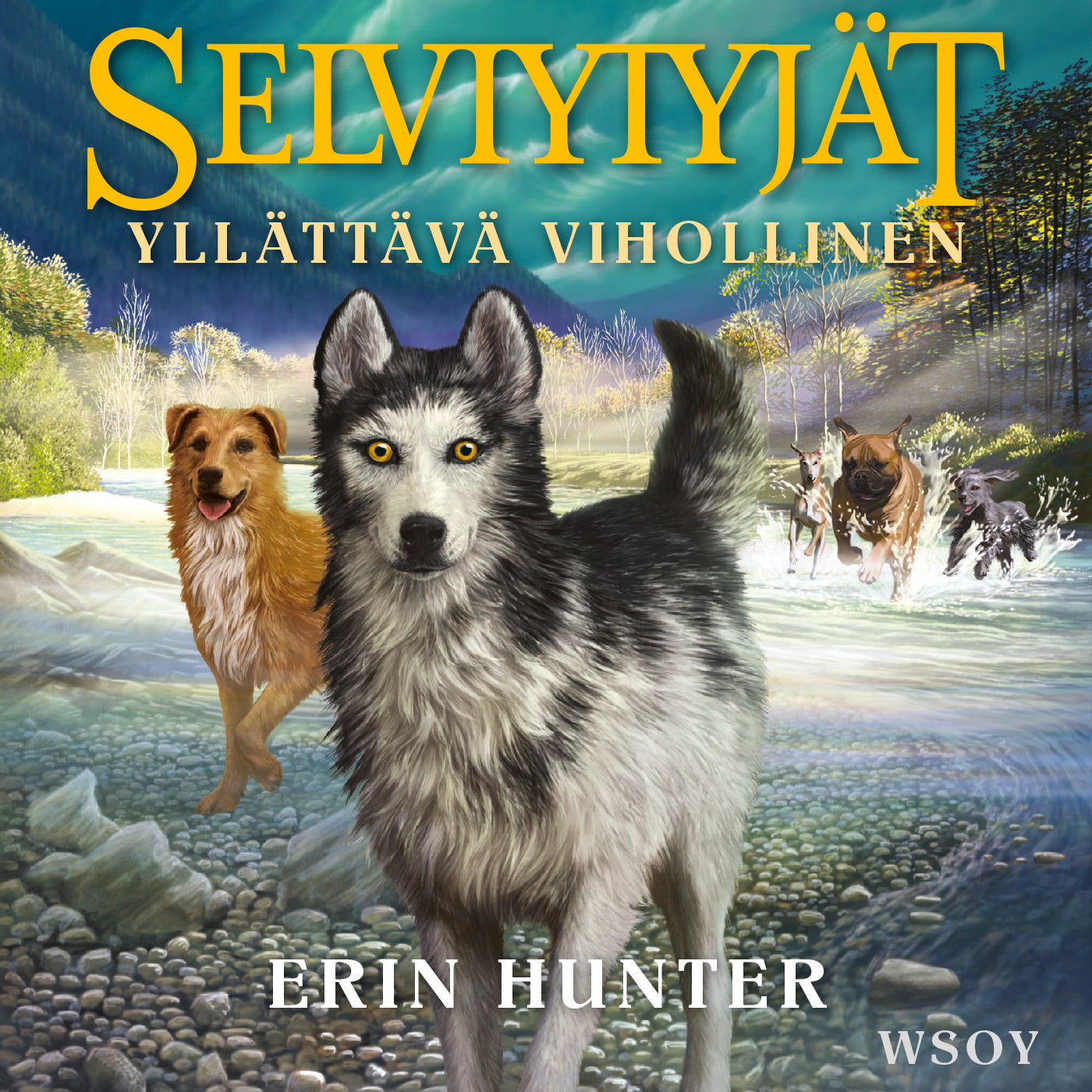 Selviytyjät: Yllättävä vihollinen – Ljudbok