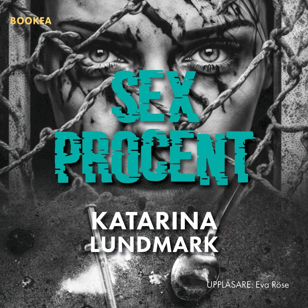 Sex procent – Ljudbok