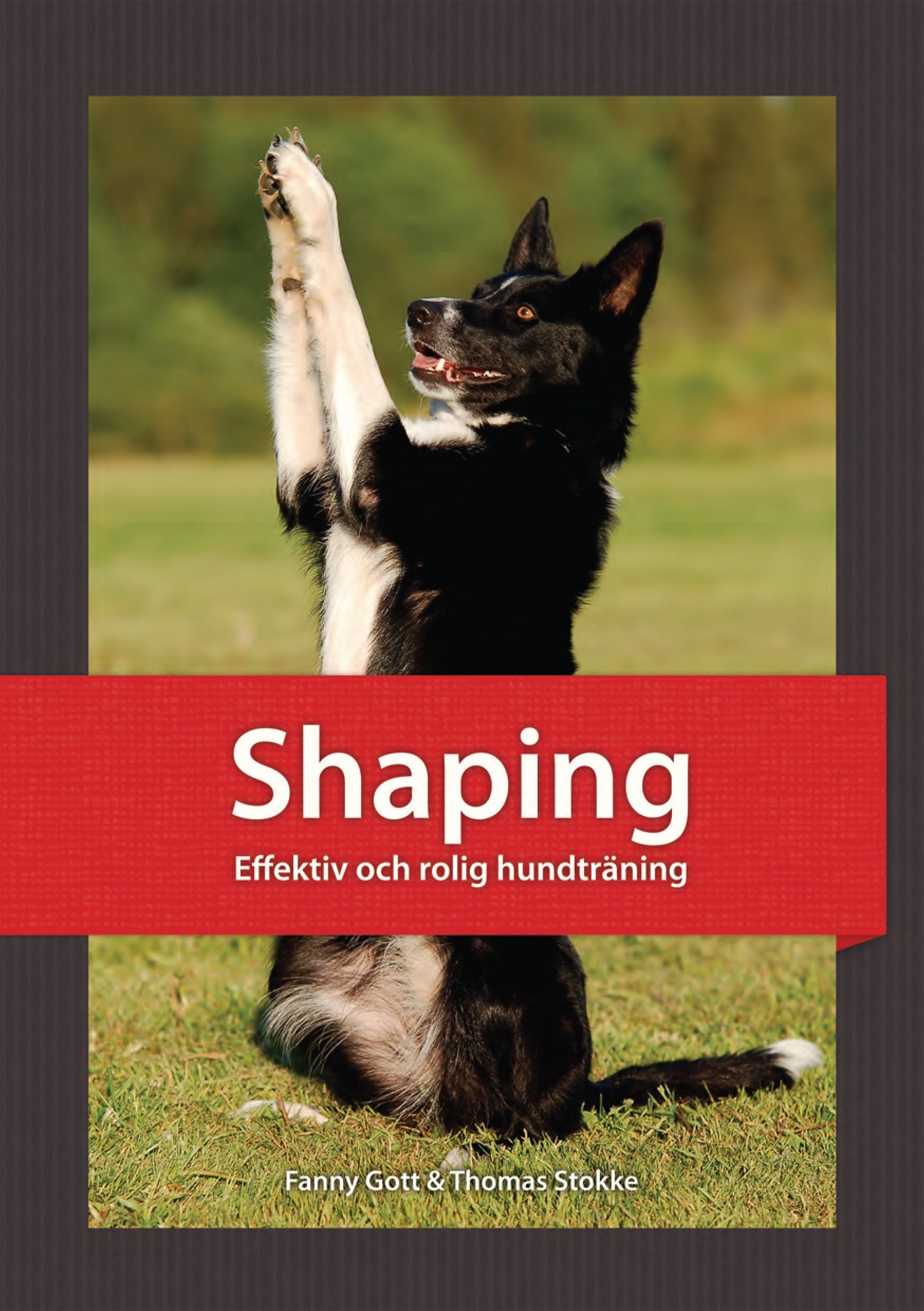 Shaping : effektiv och rolig hundträning – E-bok