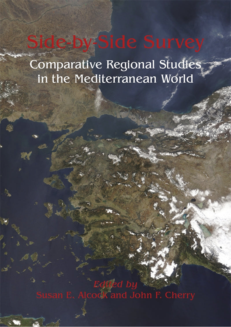 Side-by-Side Survey – E-bok