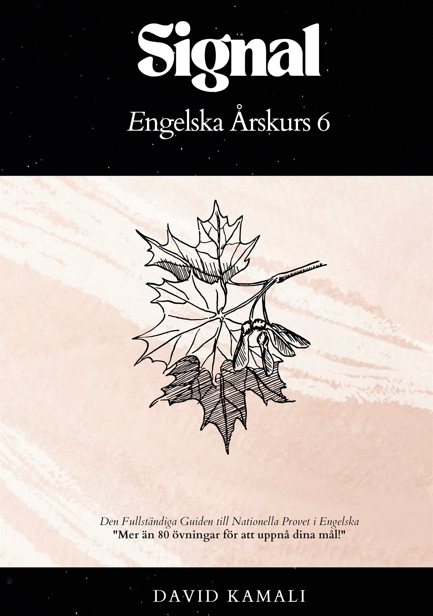 Signal: Engelska Årskurs 6: Den Fullständiga Guiden till Nationella Provet i Engelska – E-bok