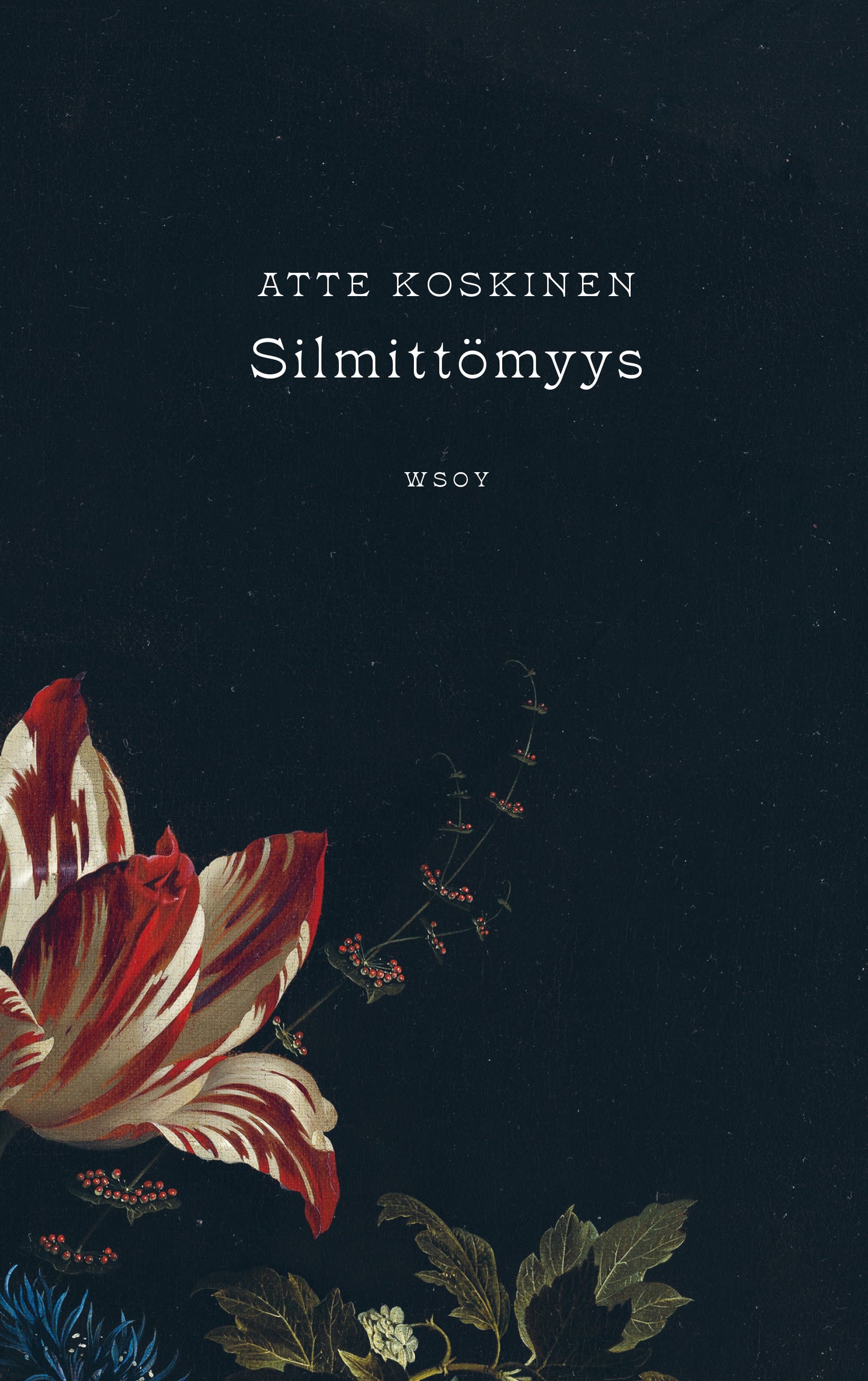 Silmittömyys – E-bok