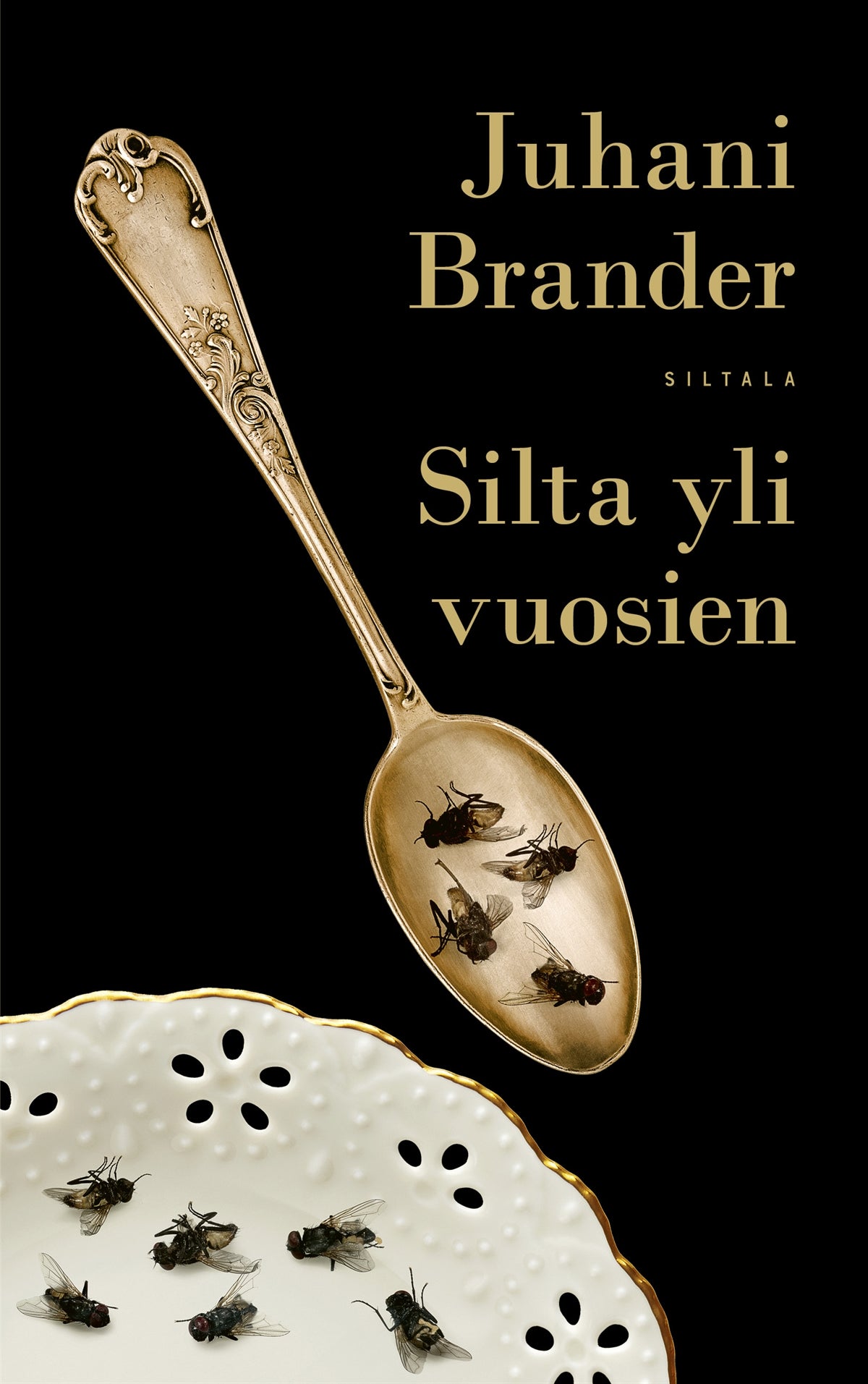 Silta yli vuosien – E-bok