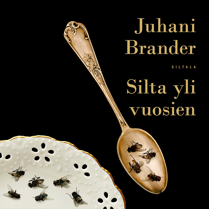 Silta yli vuosien – Ljudbok