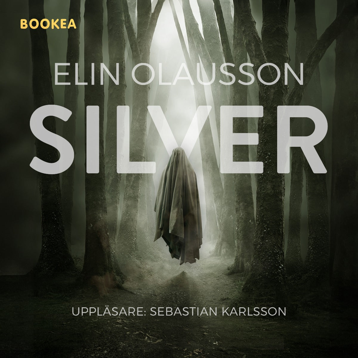 Silver – Ljudbok