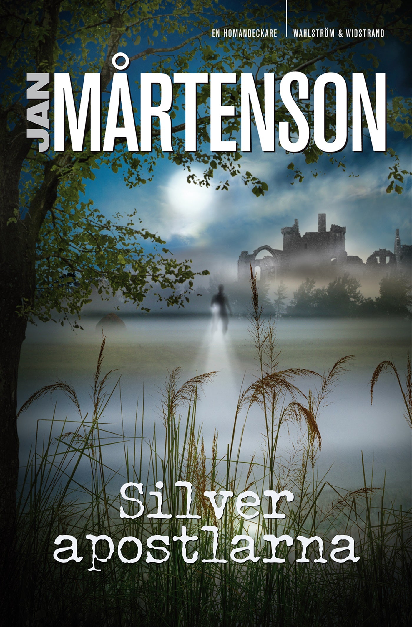 Silverapostlarna – E-bok