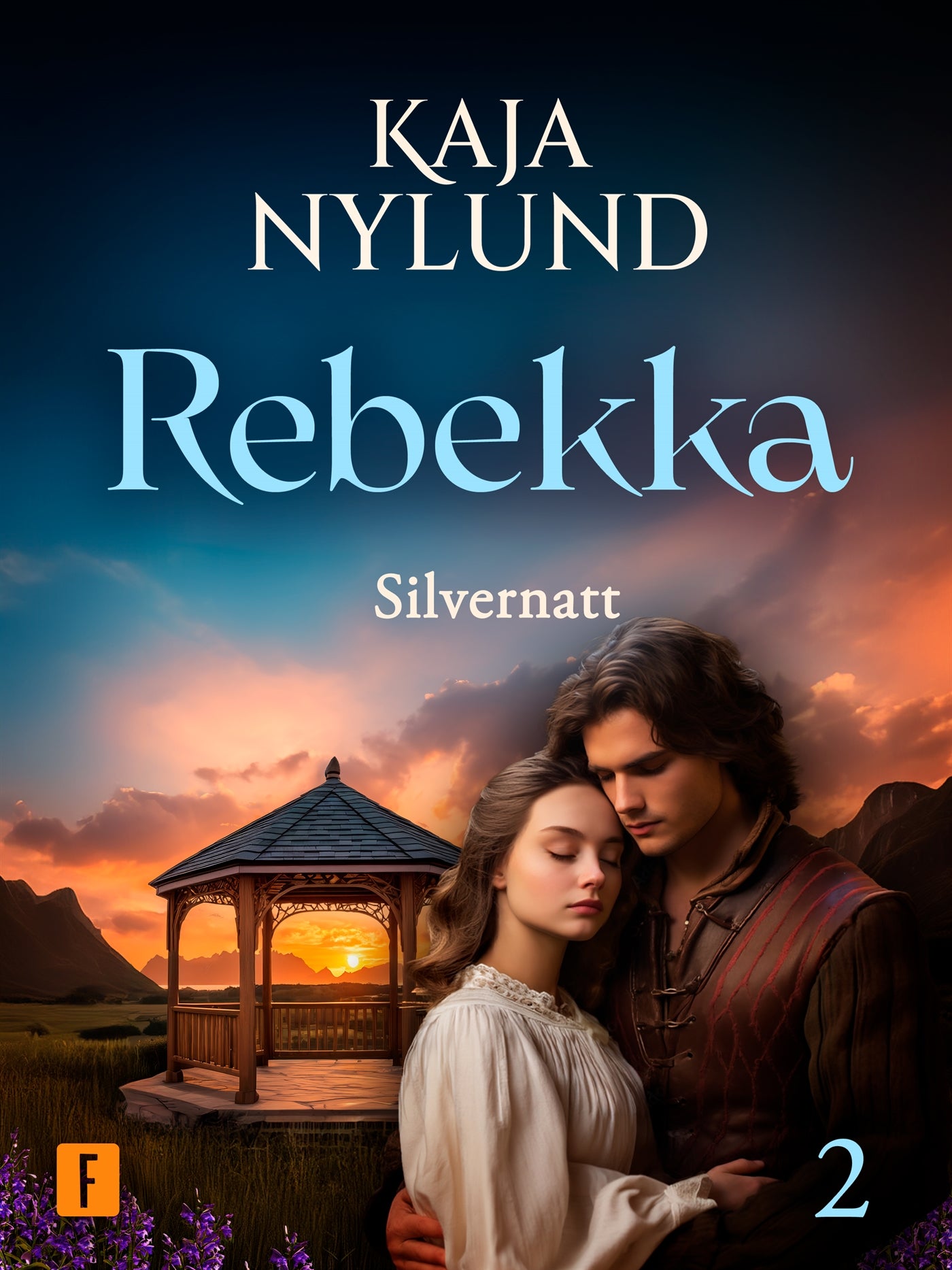 Silvernatt – E-bok