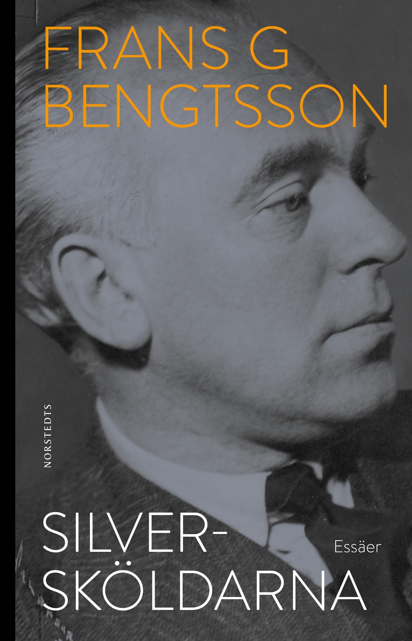 Silversköldarna – E-bok