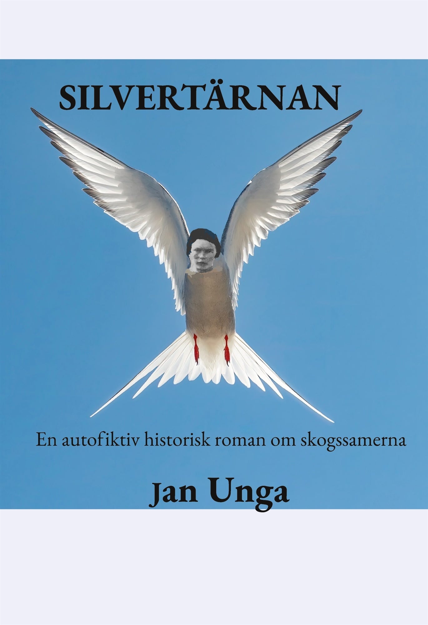 Silvertärnan: En autofiktiv historisk roman om skogssamerna – E-bok