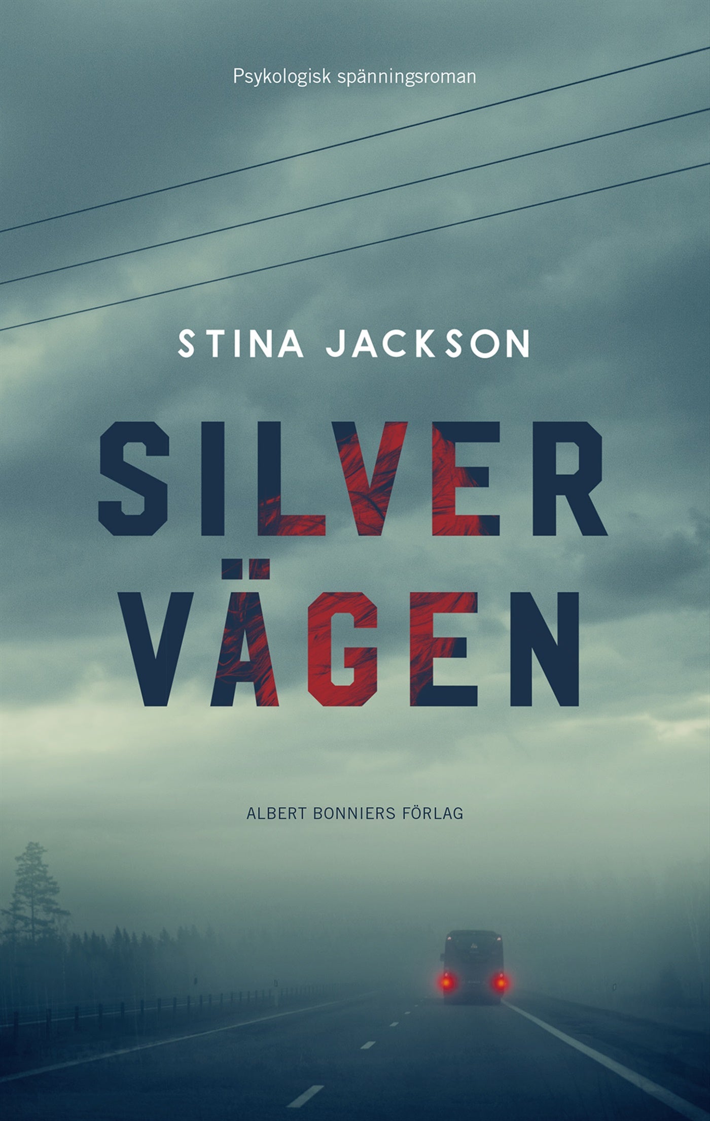 Silvervägen – E-bok