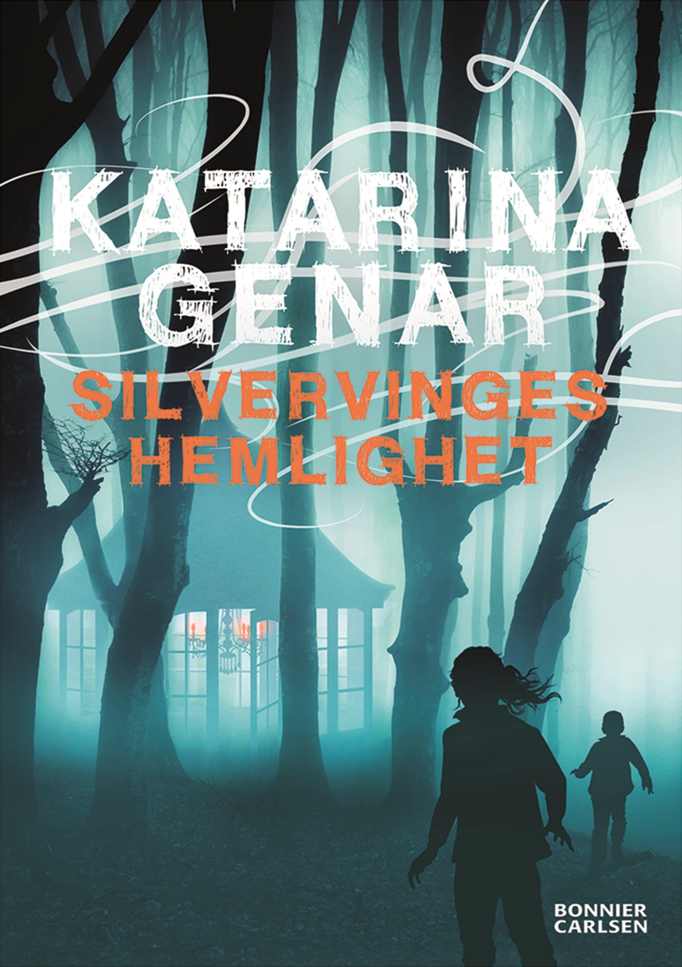 Silvervinges hemlighet – E-bok